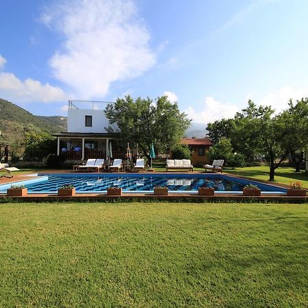 Bal Badem Bungalow Datça Exterior foto