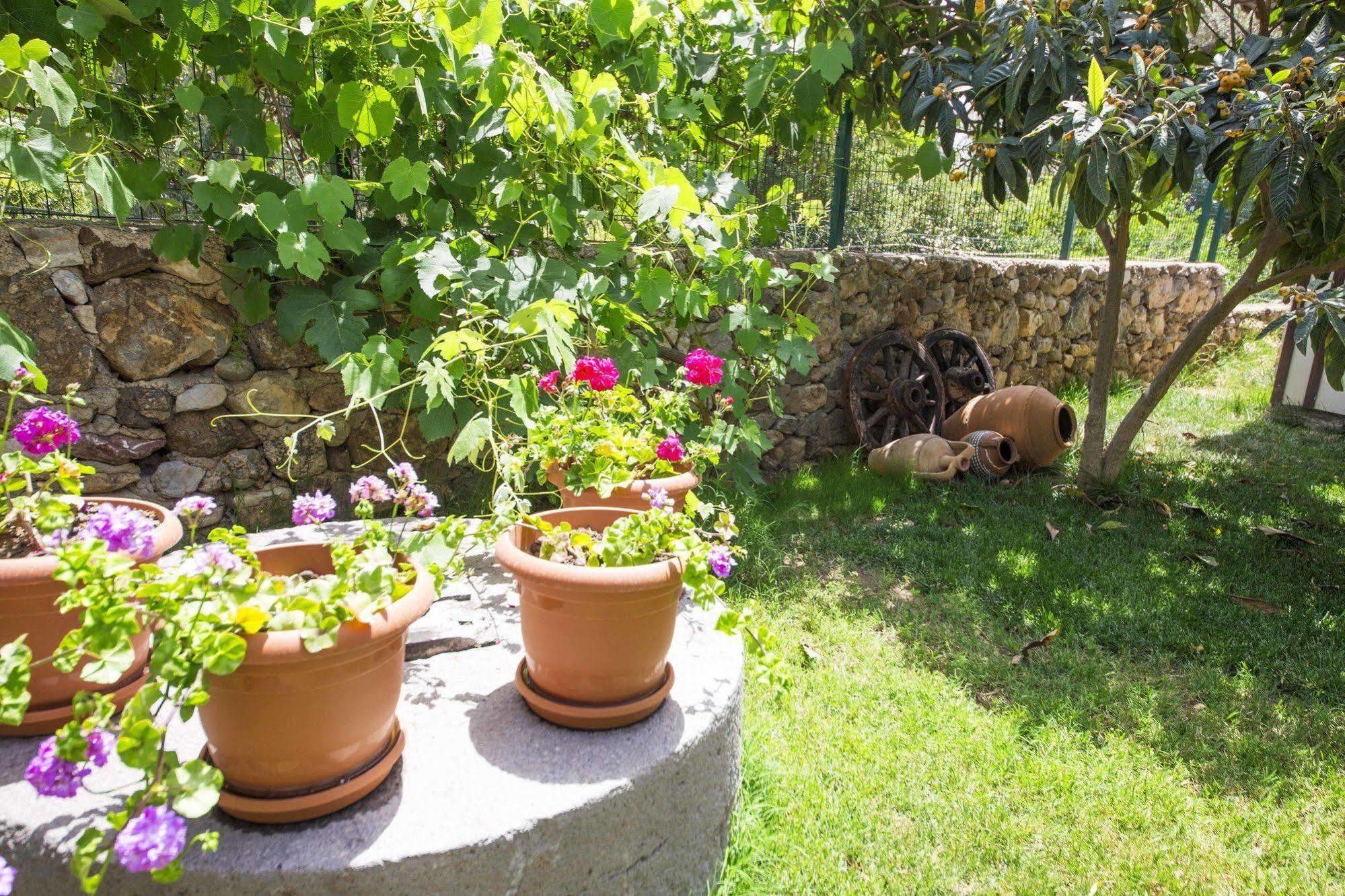 Bal Badem Bungalow Datça Exterior foto