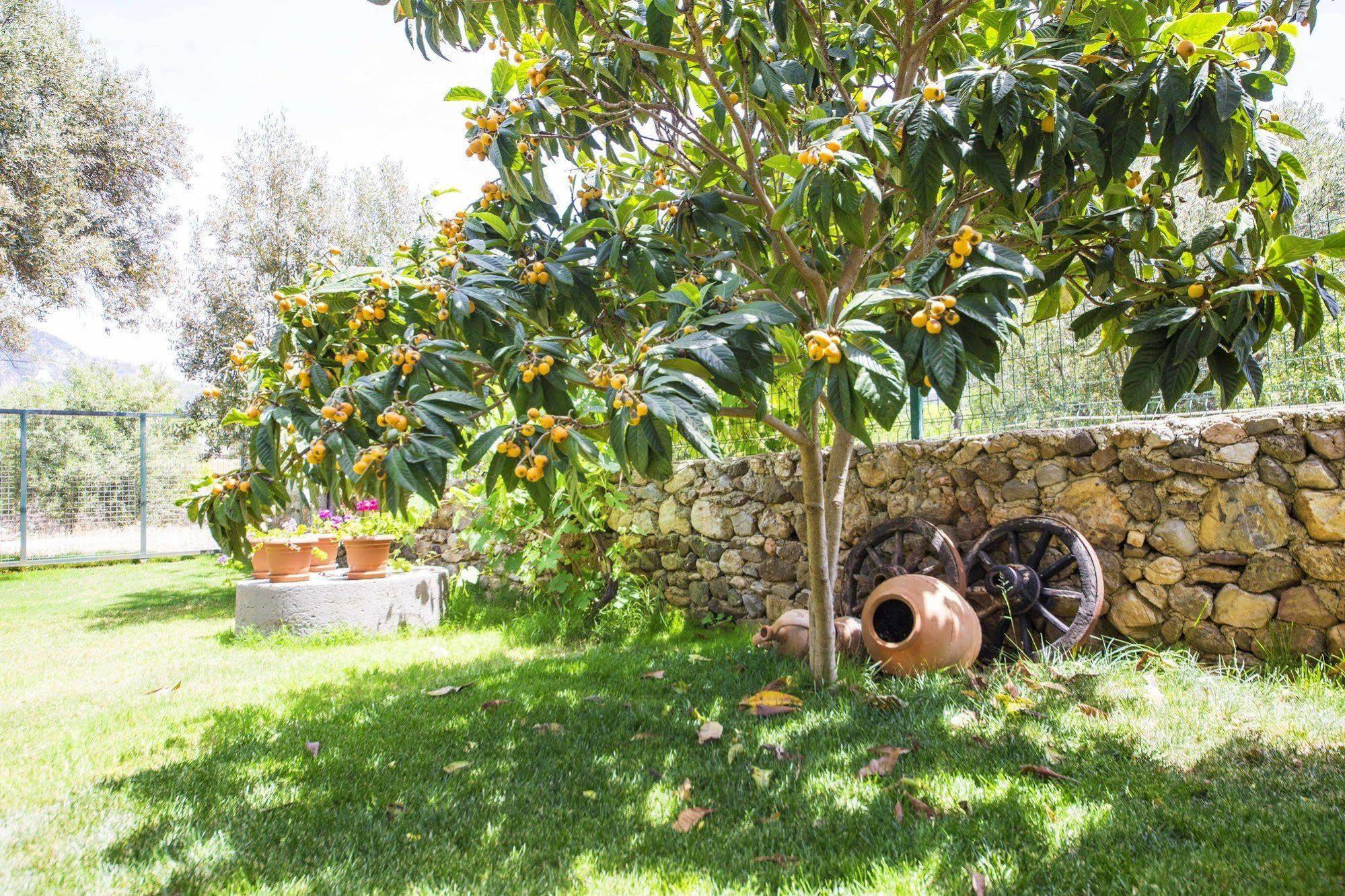 Bal Badem Bungalow Datça Exterior foto